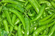 尖椒可以生吃吗?辣椒生吃更健康 尖椒可以生吃吗?辣椒生吃更健康