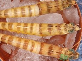 吃基围虾可以喝牛奶吗?吃完基围虾能喝牛奶吗? 吃基围虾可以喝牛奶吗?吃完基围虾能喝牛奶吗?