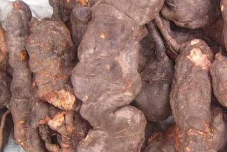 何首乌为什么忌铁器 会降低药效 何首乌为什么忌铁器 会降低药效