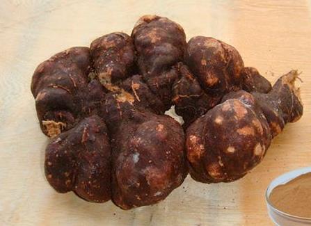 何首乌为什么忌铁器 会降低药效 何首乌为什么忌铁器 会降低药效