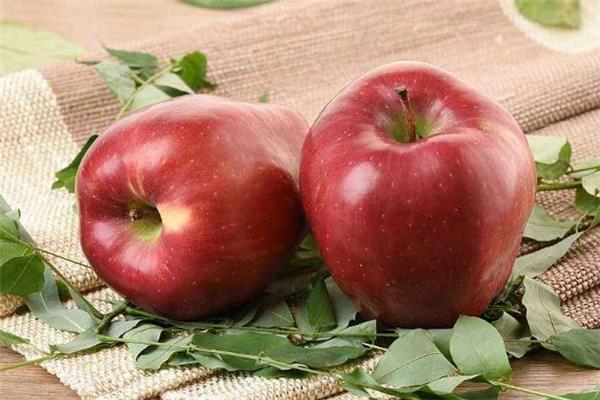 花牛苹果的皮可以吃吗 花牛苹果什么口感 花牛苹果的皮可以吃吗 花牛苹果什么口感