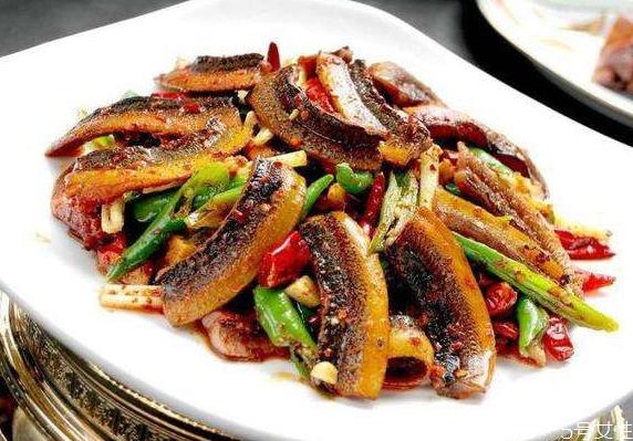 黄鳝在家里清水能养吗 黄鳝在鱼缸能长期养吗 黄鳝在家里清水能养吗 黄鳝在鱼缸能长期养吗