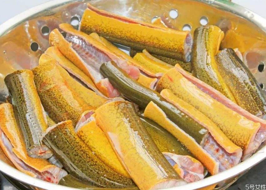 黄鳝在家里清水能养吗 黄鳝在鱼缸能长期养吗 黄鳝在家里清水能养吗 黄鳝在鱼缸能长期养吗