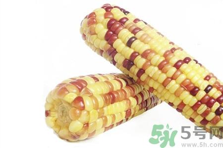 糯玉米的营养价值 糯玉米的功效与作用
