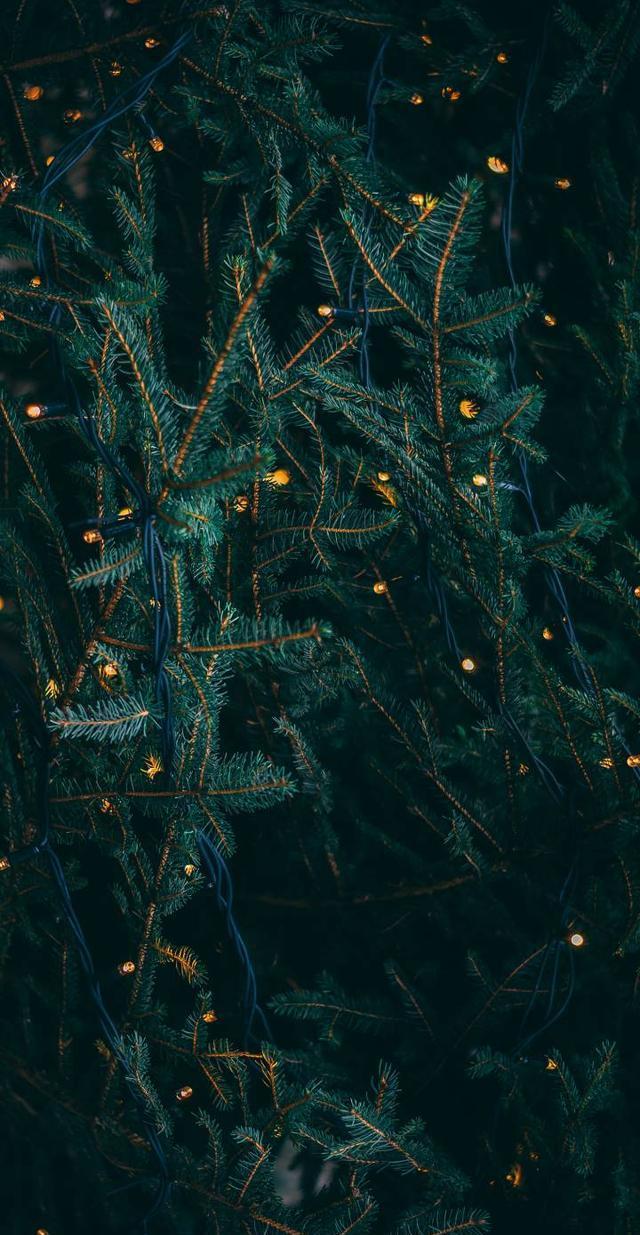 高清全面屏18:9壁纸，iPhone X和全面屏用户看过来吧！