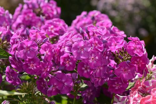 孩子是这三生肖,生来就是家中宝,长大后更能钱财双赢,享福一生