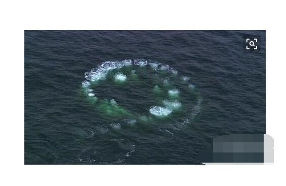 霍金预言,如果外星人在地球,能躲藏的地方就是深海