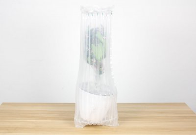 ​瑞香冬天的养殖方法和注意事项