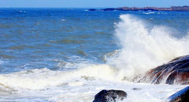 诗和远方?苏轼历尽沧桑后,写下一首诗,告诉我们远方不必去