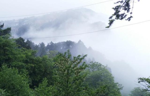 诗和远方?苏轼历尽沧桑后,写下一首诗,告诉我们远方不必去