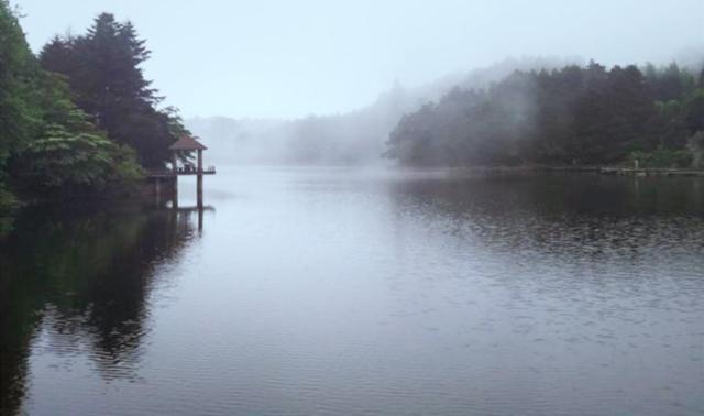 诗和远方?苏轼历尽沧桑后,写下一首诗,告诉我们远方不必去