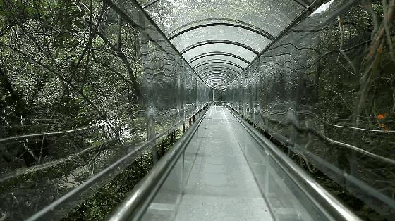 心跳指数100%! 巨石山云上玻璃滑道, 比过山车还刺激!