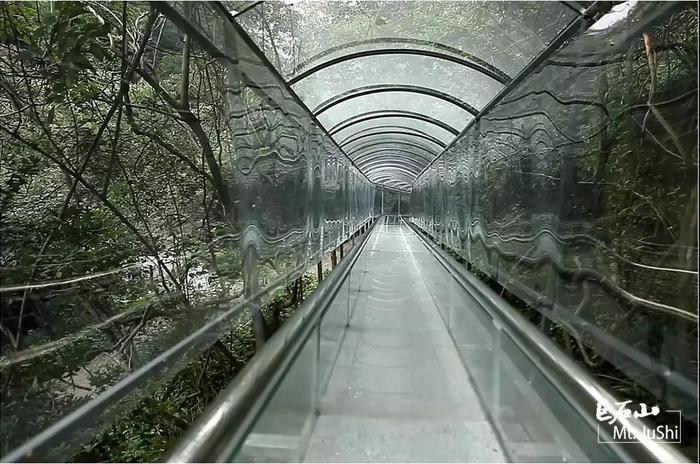 心跳指数100%! 巨石山云上玻璃滑道, 比过山车还刺激!