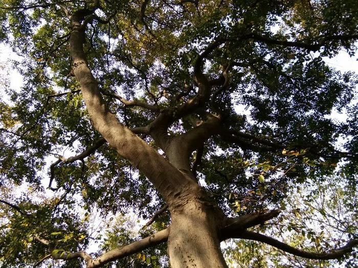 朝廷官兵追杀要犯，没有想到被水鬼拖到江里送了命