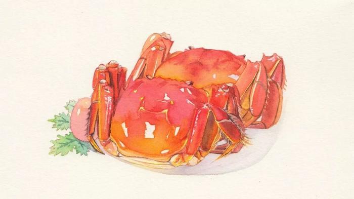 吃了这碗“大碗宽面”，我们去“浪记”天涯！