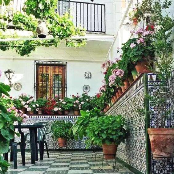 建议每个家庭:花盆别再到处塞了,瞧这新花架,优美大方别具一格