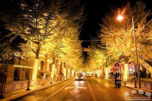 天水“黄金大道”开始“打卡”，约起来