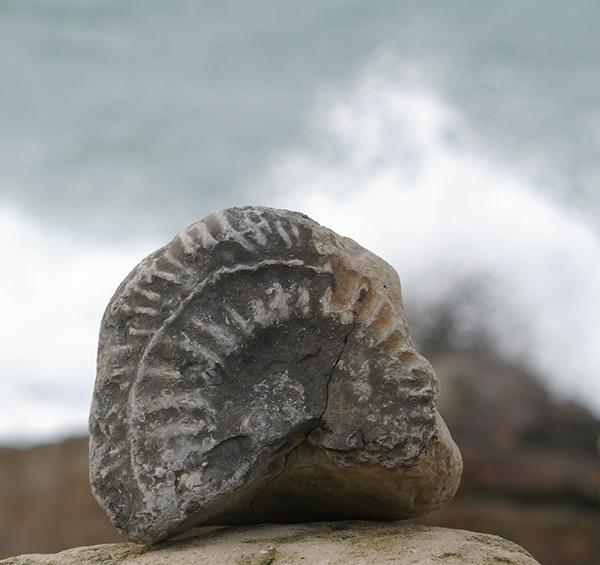 在英国侏罗纪海岸,“化石徒步”带你看1.85亿年的地球史