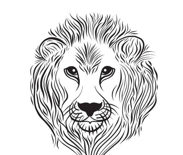 你会画狮子吗指导你一些简单办法来绘画一只狮子