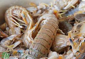 虾爬子死了能吃吗？虾爬子死能放多久？