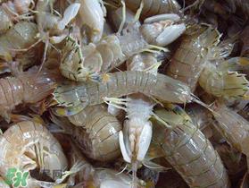 虾爬子死了能吃吗？虾爬子死能放多久？