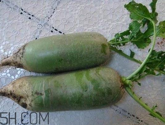 如何鉴别真假沙窝萝卜？沙窝萝卜怎么区分好坏