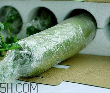 如何鉴别真假沙窝萝卜？沙窝萝卜怎么区分好坏