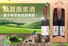 桑葚酒的营养价值_桑葚酒的功效与作用