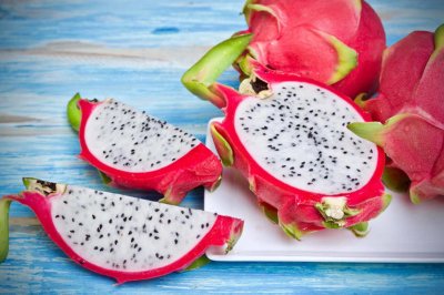 ​火龙果树种植技术