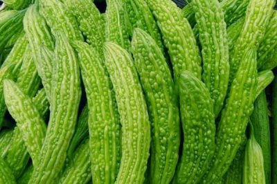 ​炒苦瓜前,到底要不要焯水,很多人都弄错了,难怪很苦!!