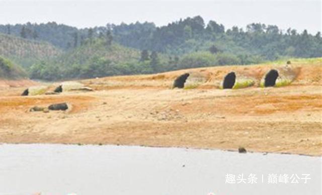江西一水库水位下降，明朝古镇重见天日专家赶到后发现个大秘密