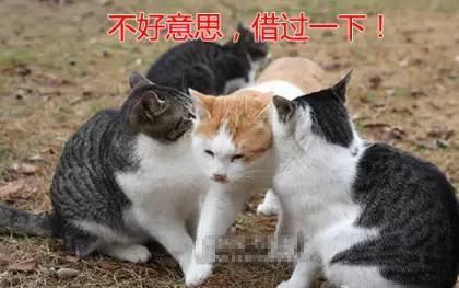 七夕情人节搞笑朋友圈图片给你准备好了，快来拿！