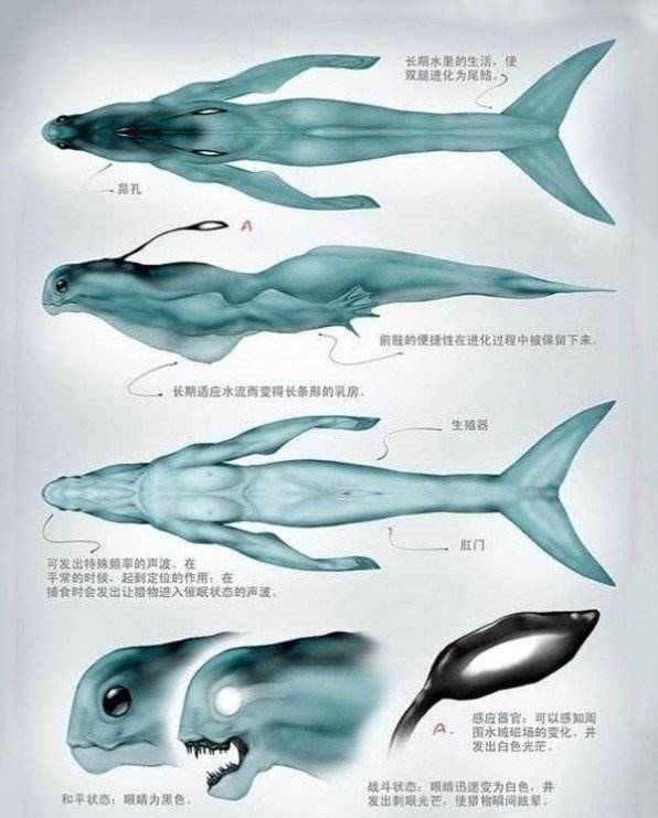 黑鳞鲛人，人鱼居然不是美丽善良的精灵，而是丑陋的食人族