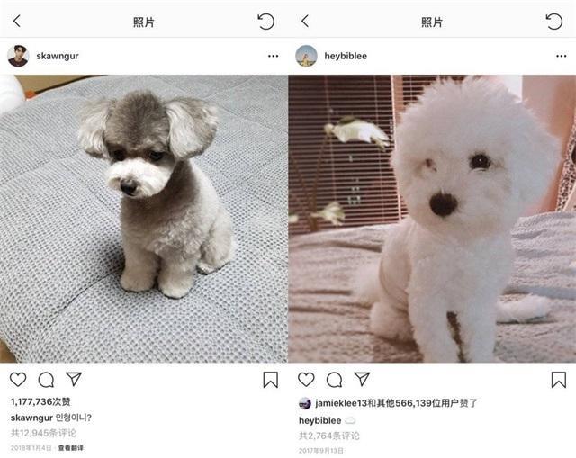 南柱赫李圣经假分手？粉丝一一列举证据，或许只是粉丝的一厢情愿