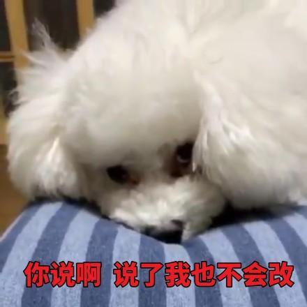 吴世勋不会甜言蜜语，装圣诞树、直播vivi，就是对粉丝的礼物