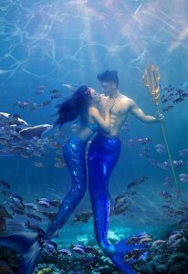 ​真心佩服48岁钟丽缇！穿鱼尾装和老公遨游海底，网友：美成一幅画