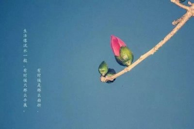 ​新的一年，这10张图，适合每一个人，非常值得一看！