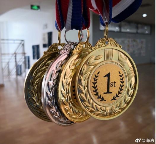 海清晒儿子背影让人心酸？可照片细节隐藏着她这10岁儿子真不一般