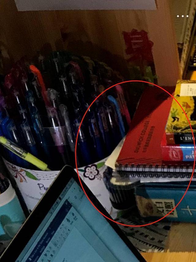 海清晒儿子背影让人心酸？可照片细节隐藏着她这10岁儿子真不一般