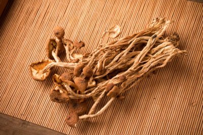 ​蘑菇表面长白毛是这么回事