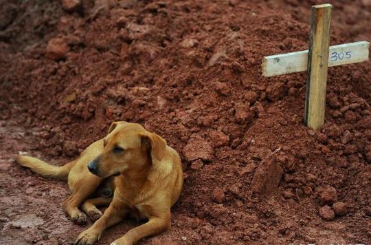 令人心痛的9几张照片，总有一张能触动你