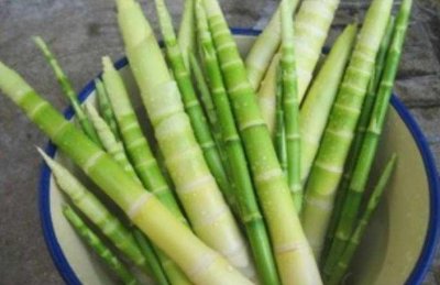 ​低热量食物排名前十 竹笋第一名 绿豆芽暂居第二