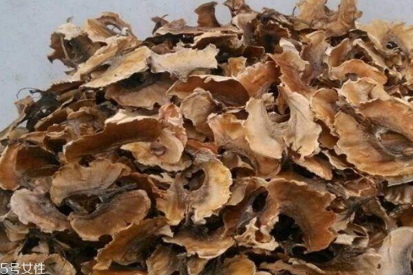 什么是分心木 分心木有什么作用呢 什么是分心木 分心木有什么作用呢