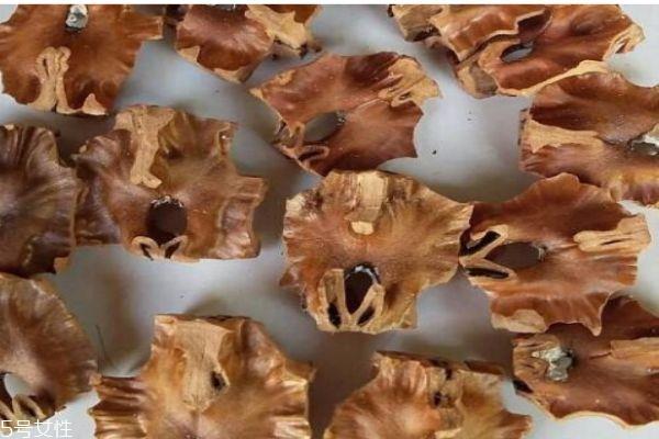 什么是分心木 分心木有什么作用呢 什么是分心木 分心木有什么作用呢