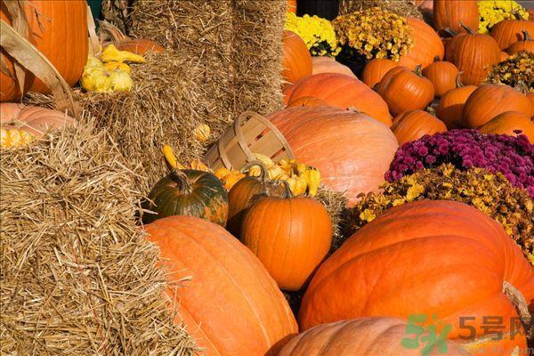 南瓜去水肿吗？南瓜能消肿吗？