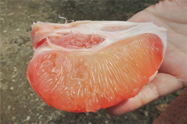 如何挑选好吃的红柚子 皮色淡黄有沉重感 如何挑选好吃的红柚子 皮色淡黄有沉重感