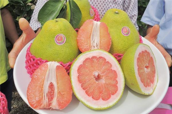 如何挑选好吃的红柚子 皮色淡黄有沉重感 如何挑选好吃的红柚子 皮色淡黄有沉重感