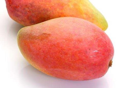 贵妃芒和甜心芒哪个好吃 贵妃芒和金煌芒的区别 贵妃芒和甜心芒哪个好吃 贵妃芒和金煌芒的区别