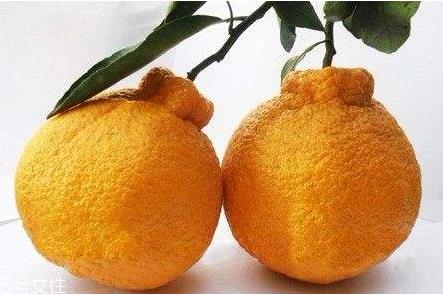 吃丑柑会上火吗 吃丑柑为什么不上火 吃丑柑会上火吗 吃丑柑为什么不上火
