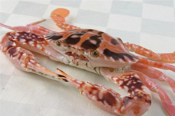 花蟹隔夜了还能吃吗 花蟹隔夜了怎么存放 花蟹隔夜了还能吃吗 花蟹隔夜了怎么存放